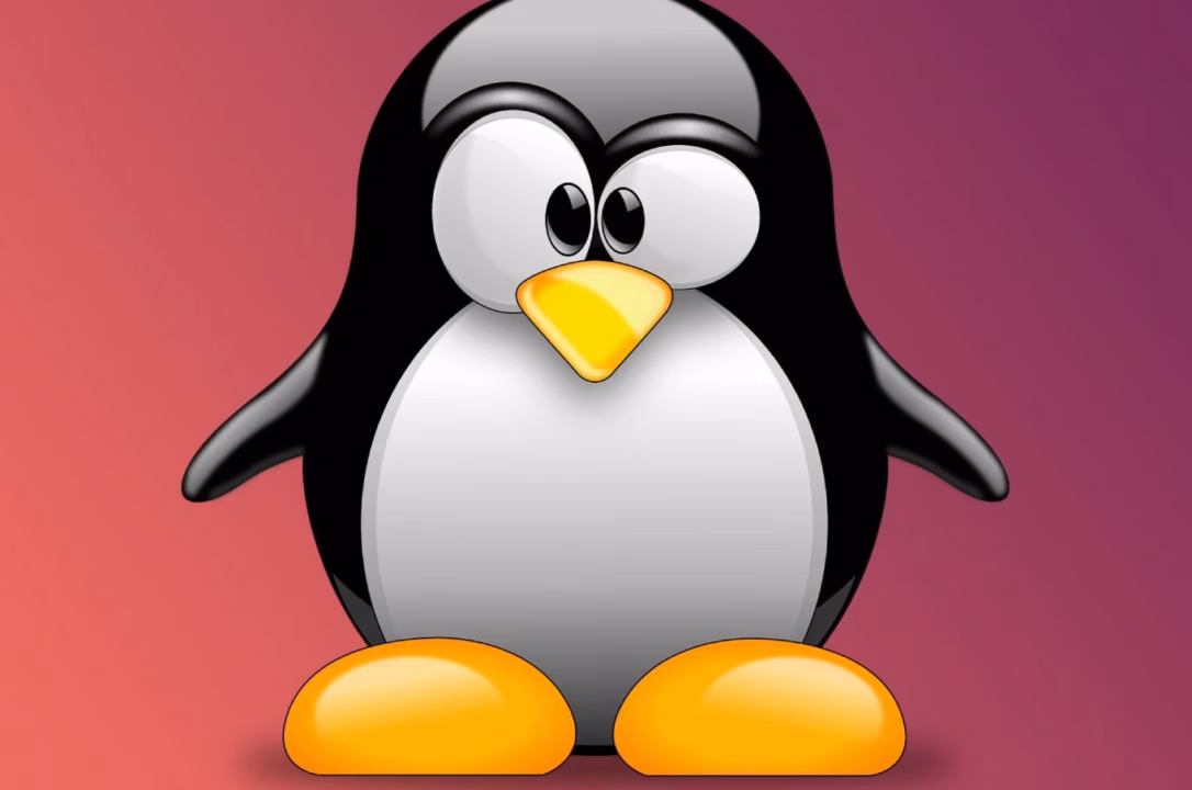 Quelle distribution Linux choisir en 2026 quand on est développeur ?